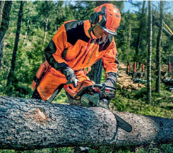 Forest Logging