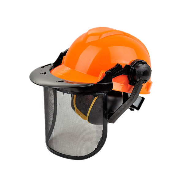 Safety Helmet