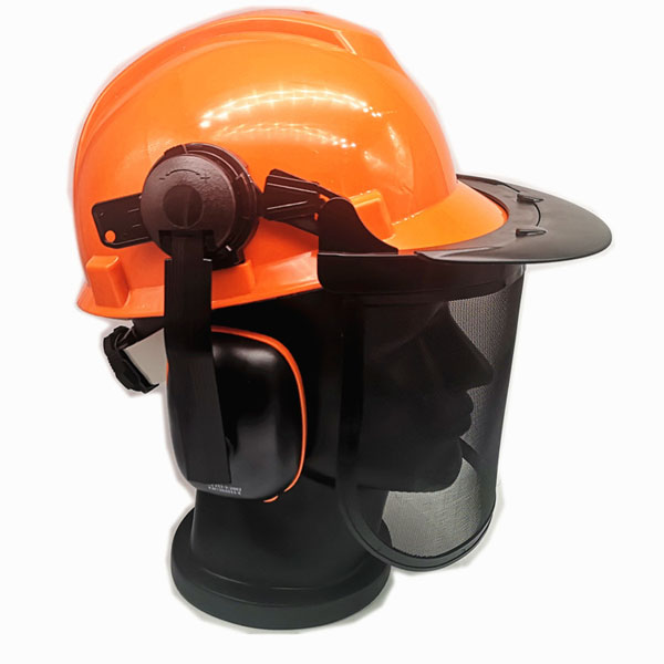 Safety Helmet