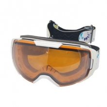 Sport Safety Goggles